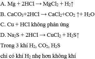 Chất tác dụng với dung dịch HCl tạo thành chất khí nhẹ hơn không khí A. Mg  B. CaCO2 C. Cu D. Na2SO3 (ảnh 1)