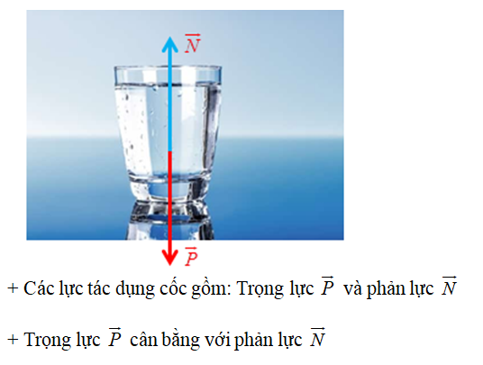 Cốc nước được đặt đứng yên trên mặt bàn. Các lực tác dụng vào cốc cân bằng nhau là: (ảnh 1)