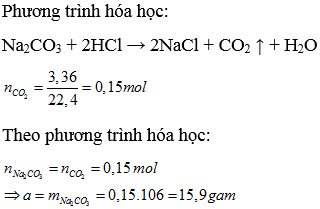 Cho a gam Na2CO3 vào dung dịch HCl, sau phản ứng thu được 3,36 lít khí ở đktc. Giá trị của a là (ảnh 1)