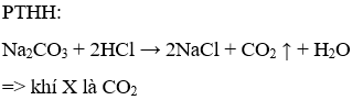 Cho phương trình phản ứng: Na2CO3 + 2HCl → 2NaCl + X + H2O. X là  A. CO2  B. CH2  C. O2  D. Cl2 (ảnh 1)