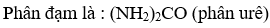 Trong các loại phân bón hoá học sau loại nào là phân đạm ? A. KCl  B. Ca3( PO4)2  C. K2SO4  D. ( NH2)2Co (ảnh 1)
