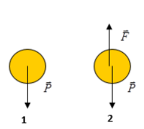 Khi ném một quả bóng lên cao (bỏ qua mọi ma sát), hình vẽ nào sau đây diễn tả đúng các lực tác dụng lên quả  A. Hình 1 (ảnh 1)