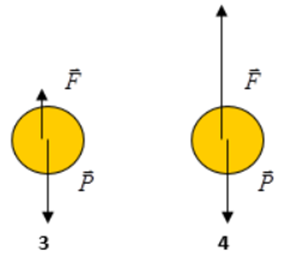 Khi ném một quả bóng lên cao (bỏ qua mọi ma sát), hình vẽ nào sau đây diễn tả đúng các lực tác dụng lên quả  A. Hình 1 (ảnh 2)