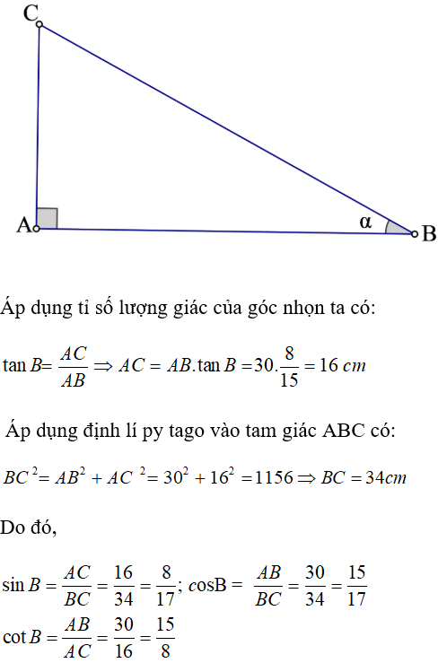 Cho tam giác ABC vuông tại A, AB = 30 cm. Biết tan B = 8/15. Tìm khẳng định A. sinB= 7/ 17 (ảnh 1)
