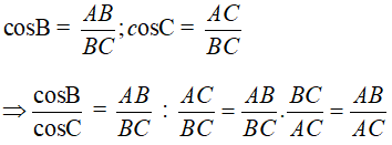 Cho tam giác ABC vuông tại A. Tính cosB/cosC A. AB/AC  B. AB/ BC  C. AC/ BC D. đáp án khác (ảnh 1)