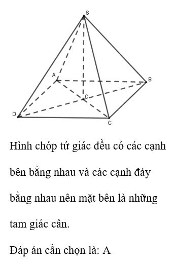 Hình chóp tứ giác đều có mặt bên là hình gì A. Tam giác cân (ảnh 1)