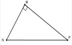 Cho tam giác MNP vuông tại M. Khi đó cosMNP bằng A. MN/NP  B. MP/ NP C. MN/ MP (ảnh 1)