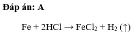 Dung dịch axit clohiđric tác dụng với sắt tạo thành A. Sắt (II) clorua và khí hiđro B. Sắt (III) clorua và khí hiđro (ảnh 1)