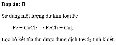 Dung dịch FeCl2 có lẫn tạp chất là CuCl2 có thể dùng kim loại nào sau đây để làm sạch dung dịch FeCL2  trên (ảnh 1)