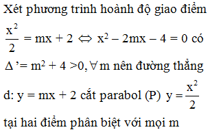 Tìm tham số m để đường thẳng d: y = mx + 2 cắt parabol (P): y = x^2 /2 tại 2 điểm phân biệt (ảnh 1)
