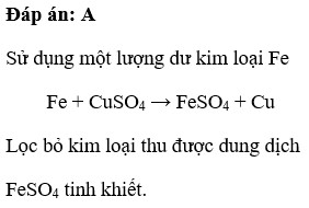 Kim loại được dùng để làm sạch dung dịch FeSO4 có lẫn tạp chất là CuSO4 là A. Fe B. Zn C. Cu D. Al (ảnh 1)