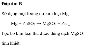 Có một mẫu dung dịch MgSO4 bị lẫn tạp chất là ZnSO4, có thể làm sạch mẫu dung dịch này bằng kim loại (ảnh 1)