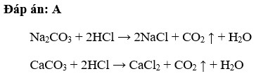 Dãy gồm các chất đều phản ứng với dung dịch HCl ở điều kiện thường là  A. Na2CO3 và CaCO3  (ảnh 1)