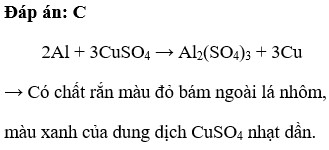 Thả một mảnh nhôm vào ống nghiệm chứa dung dịch  CuSO4 Xảy ra hiện tượng A. Không có dấu hiệu phản ứng (ảnh 1)