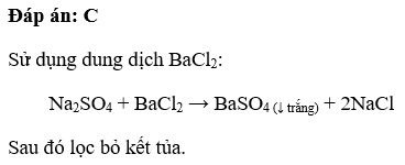 Để loại bớt muối Na2SO4 có lẫn trong dung dịch NaCl ta dùng:  A. dung dịch AgNO3  B. dung dịch HCl  C. dung dịch BaCL2 (ảnh 1)