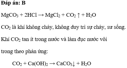 MgCO3 tác dụng với dung dịch HCl sinh ra A. Chất khí cháy được trong không khí B. Chất khí làm vẫn đục nước vôi trong (ảnh 1)
