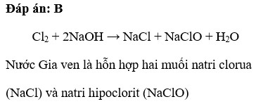 Clo tác dụng với natri hiđroxit ở điều kiện thường A. tạo thành muối natri clorua và nước B. tạo thành nước javen (ảnh 1)