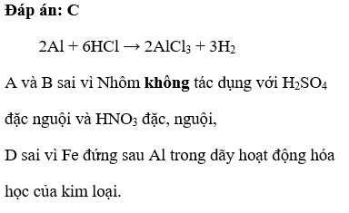 Cặp chất nào dưới đây có phản ứng Al + HNO3 đặc nguội  Fe+ HNO3  đặc nguội  Al+ HCl (ảnh 1)