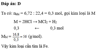 Hoà tan 16,8g kim loại vào dung dịch HCl dư, sau phản ứng thu được 6,72 lít khí H2 (đktc). Kim loại đem hoà (ảnh 1)