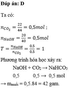 Người ta dùng 22 gam CO2 hấp thụ 20 gam NaOH. Khối lượng muối tạo thành là A. 45 gam B. 44 gam (ảnh 1)