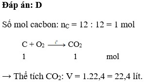 Đốt cháy hoàn toàn 12 gam C thì thể tích tối đa của khí CO2 thu được ở đktc là A. 1,12 lít B. 11,2 lít C. 2,24 lít D. 22,4 lít (ảnh 1)
