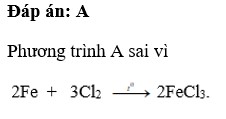 Phương trình phản ứng viết sai là Fe +Cl2 nhiệt độ tạo thành FeCl2  B. Fe+ 2HCl FeCl2+ H2 (ảnh 1)