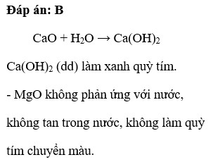 Để phân biệt 2 lọ mất nhãn đựng CaO và MgO ta dùng A. HCl  B. H2O và quỳ tím C. HNO3  D. không phân biệt được (ảnh 1)