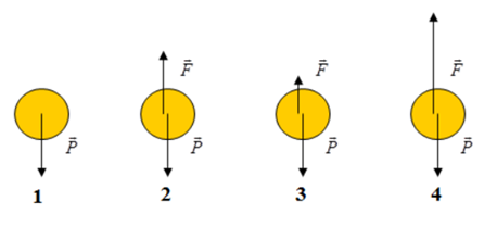 Khi thả nhẹ một quả bóng từ cao xuống (bỏ qua mọi ma sát), hình vẽ nàosau đây diễn tả đúng các lực tác dụng (ảnh 1)