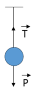 Trong cách mô tả sau đây về tương quan giữa trọng lượng P và lực căng T câu nào đúng? (ảnh 1)