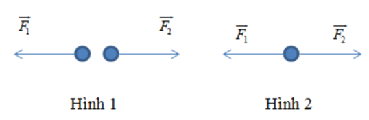 Với cùng cường độ, cách biểu diễn hai lực cân bằng nào sau đây đúng  A. Hình 1 (ảnh 1)