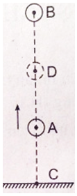 Từ điểm A, một vật được ném lên theo phương thẳng đứng Vật lên đến vị trí cao nhất B rồi rơi xuống đến (ảnh 1)