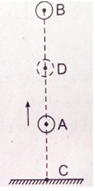 Từ điểm A, một vật được ném lên theo phương thẳng đứng Vật lên đến vị trí cao nhất B rồi rơi xuống đến (ảnh 1)