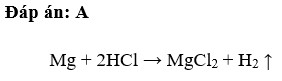 Chất tác dụng với dung dịch HCl tạo thành chất khí nhẹ hơn không khí là  A. Mg  B. CaCO3  C. MgCO3  (ảnh 1)
