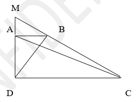 Cho hình thang vuông ABCD vuông góc tại A và D ;AB = 1/3 CD .Kéo dài DA và CB cắt nhau tại M. (ảnh 1)
