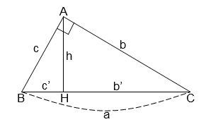 Cho tam giác ABC vuông tại A, đường cao AH (như hình vẽ). Hệ thức nào sau đây là sai? A. b^2= b'. a (ảnh 1)