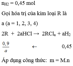 Hoà tan hết 25,2 gam kim loại R trong dung dịch axit HCl, sau phản ứng thu được 10,08 lít H2 (đktc). Kim loại R là (ảnh 1)