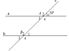 Cho hình vẽ bên biết a // b và góc A1 = 50 độ