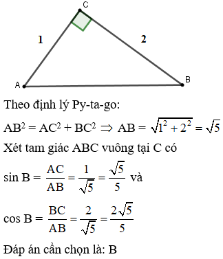 Cho tam giác vuông ABC vuông tại C có AC = 1cm, BC = 2cm Tinh các tỉ số lượng giác sin B, cos B (ảnh 1)