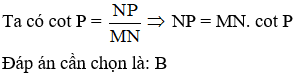 Cho tam giác MNP vuông tại N. Hệ thức nào sau đây là đúng A. NP = MP. sin P B. NP = MN. cot P (ảnh 2)