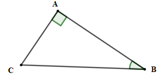 Cho tam giác ABC vuông tại A có BC = a, AC = b,  góc ABC = 50 độ A. b = c. sin 50 độ (ảnh 1)