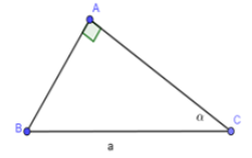 Cho tam giác ABC vuông tại A; BC = a không đổi góc C=alpha ( 0 ĐỘ < ANPHA < 90 ĐỘ) (ảnh 1)
