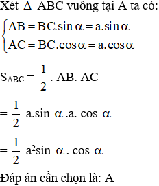 Cho tam giác ABC vuông tại A; BC = a không đổi góc C=alpha ( 0 ĐỘ < ANPHA < 90 ĐỘ) (ảnh 2)