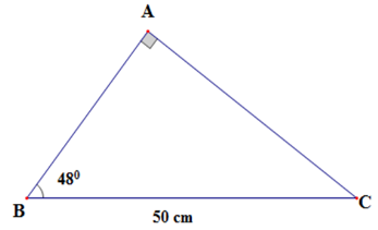 : Giải tam giác vuông ABC, biết  gócA = 90 độ và BC = 50cm  góc B= 48 độ (làm tròn đến chữ số thập phân thứ nhất). (ảnh 1)