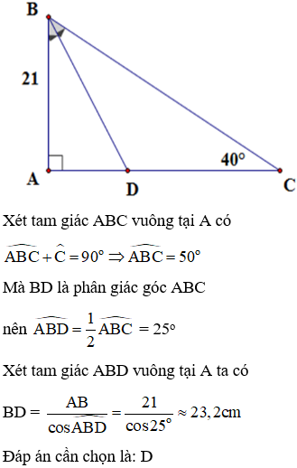 Cho tam giác ABC vuông tại A có AB = 21cm; góc C= 40 độ phân giác BD (D thuộc AC). Độ dài phân giác BD (ảnh 1)