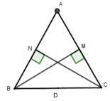 Cho tam giác đều ABC cạnh bằng a, các đường cao là BM và CN. Gọi D là trung điểm cạnh BC (ảnh 1)