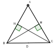 Cho tam giác đều ABC cạnh bằng 3cm, các đường cao là BM và CN. Gọi O là điểm cạnh BC (ảnh 1)