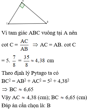 Cho tam giác ABC vuông tại A có AB = 5cm, cot C = 7/8 Tính độ dài các đoạn thẳng AC và BC (ảnh 1)
