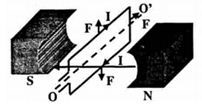 Một khung dây dẫn hình chữ nhật có dòng điện chạy qua được đặt trong từ trường giữa hai nhánh của một nam (ảnh 1)