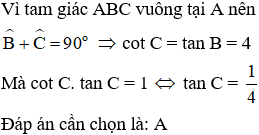 Cho tam giác ABC vuông tại A. Hãy tính tan C biết rằng tan B = 4  A. tanC= 1/ 4  B. tanC= 4 (ảnh 1)
