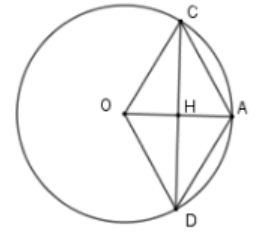 Cho đường tròn (O; R). Gọi H là trung điểm của bán kính OA dây CD vuông góc với OA tại H (ảnh 1)